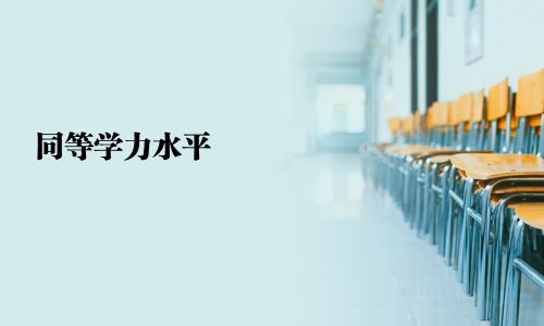 同等学力水平