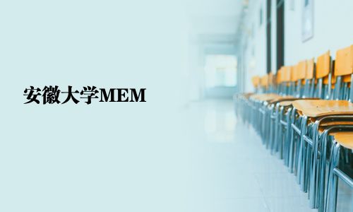 安徽大学MEM