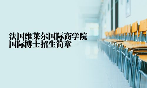 法国维莱尔国际商学院国际博士招生简章