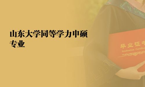 山东大学同等学力申硕专业