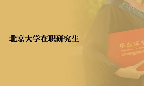 北京大学在职研究生