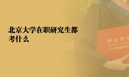 北京大学在职研究生都考什么