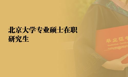 北京大学专业硕士在职研究生