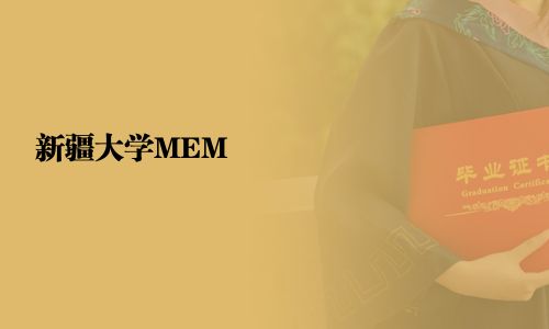 新疆大学MEM