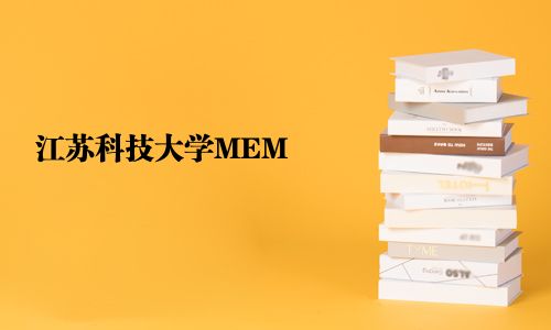 江苏科技大学MEM