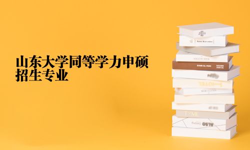 山东大学同等学力申硕招生专业