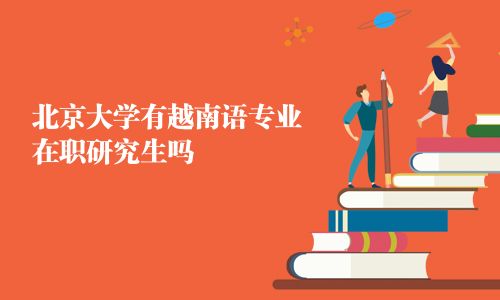 北京大学有越南语专业在职研究生吗