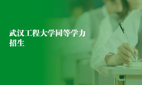 武汉工程大学同等学力招生