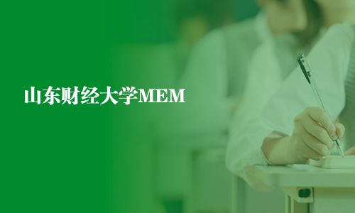 山东财经大学MEM