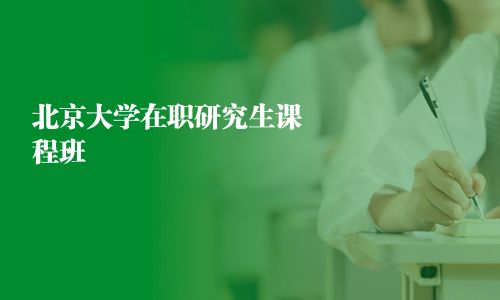 北京大学在职研究生课程班