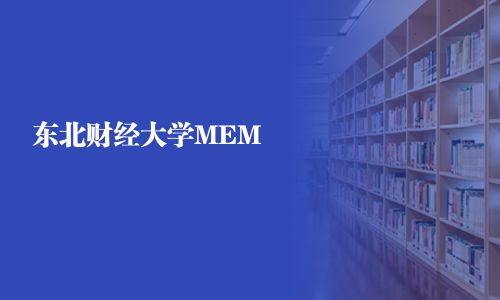 东北财经大学MEM