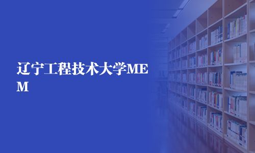 辽宁工程技术大学MEM