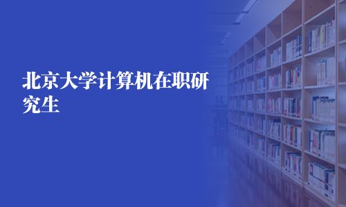 北京大学计算机在职研究生