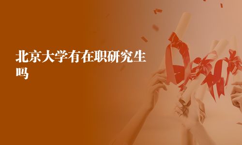 北京大学有在职研究生吗
