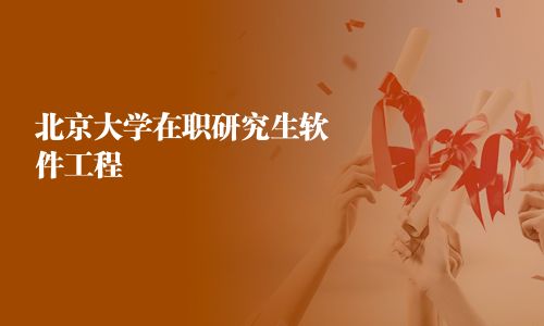 北京大学在职研究生软件工程