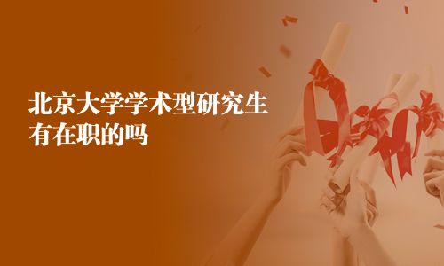 北京大学学术型研究生有在职的吗