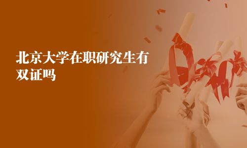 北京大学在职研究生有双证吗