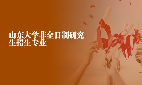 山东大学非全日制研究生招生专业