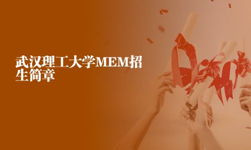 武汉理工大学MEM招生简章
