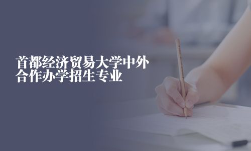 首都经济贸易大学中外合作办学招生专业