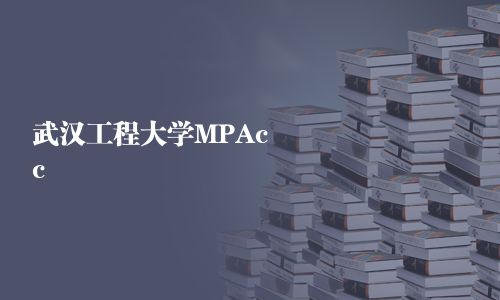 武汉工程大学MPAcc