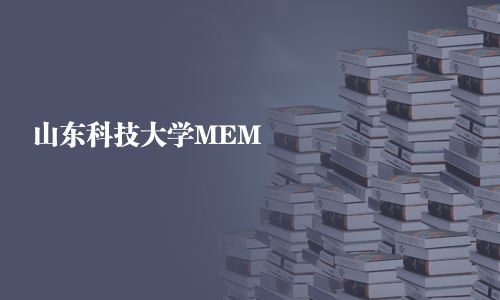 山东科技大学MEM
