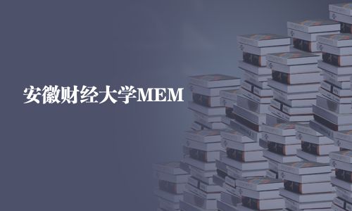 安徽财经大学MEM