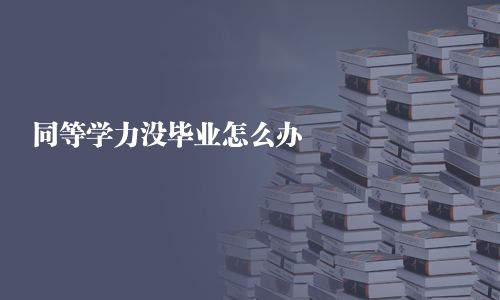 同等学力没毕业怎么办