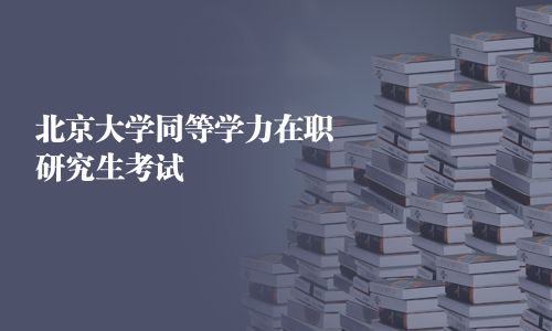 北京大学同等学力在职研究生考试