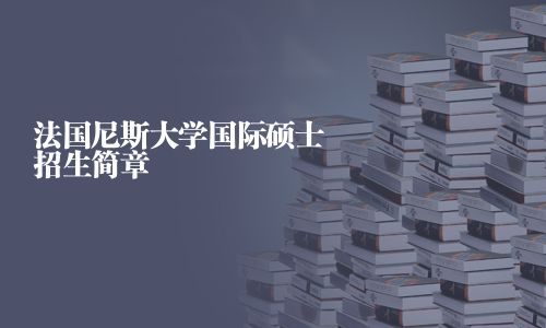 法国尼斯大学国际硕士招生简章