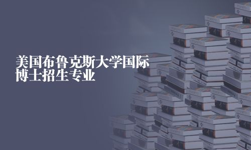 美国布鲁克斯大学国际博士招生专业