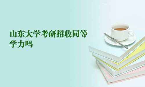 山东大学考研招收同等学力吗