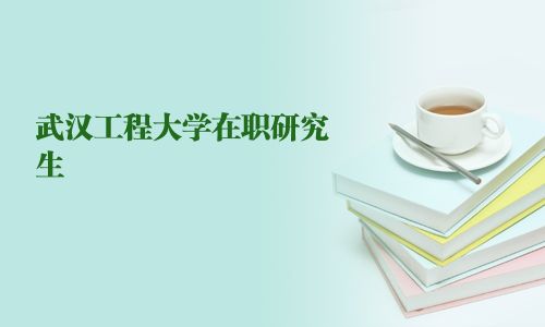 武汉工程大学在职研究生