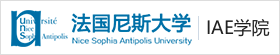 法国尼斯大学IAE学院国际博士