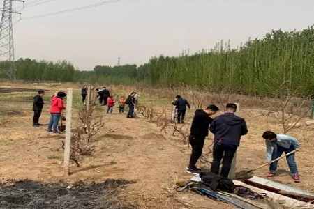 天津大学MEM爱心公益活动