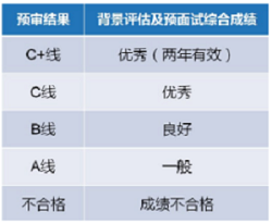 预审结果类型