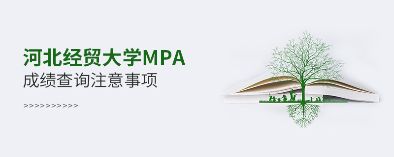 河北经贸大学MPA成绩查询注意事项