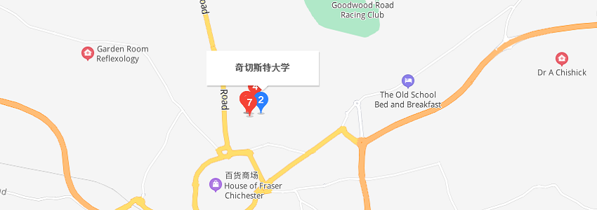 英国奇切斯特大学