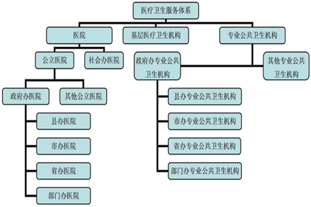 我国医疗卫生服务体系