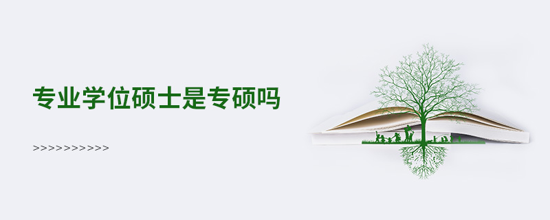 专业学位硕士是专硕吗