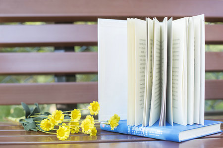 英国切斯特大学招生方式