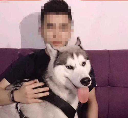 用户头像